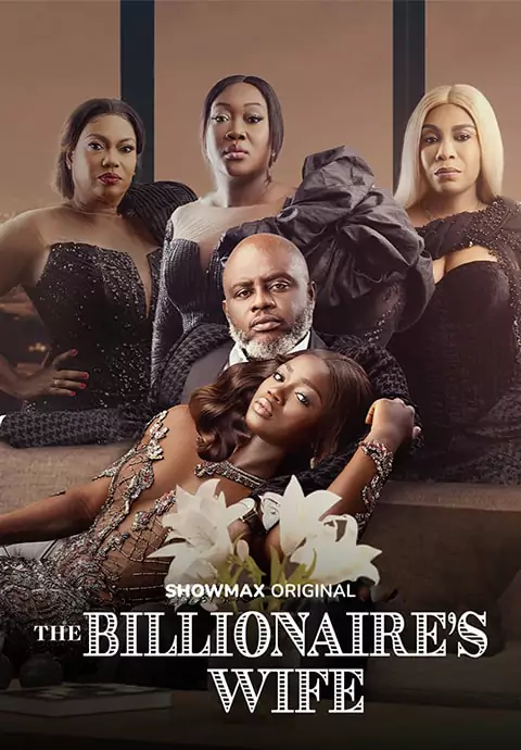 The Billionaires Wife